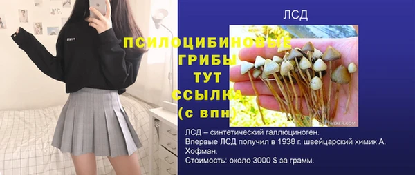 mix Арсеньев