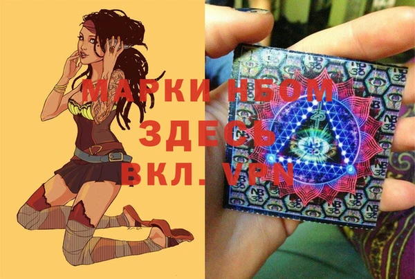 амф Аркадак