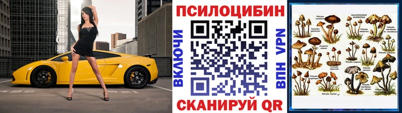 Галлюциногенные грибы ЛСД цена Юрьев-Польский